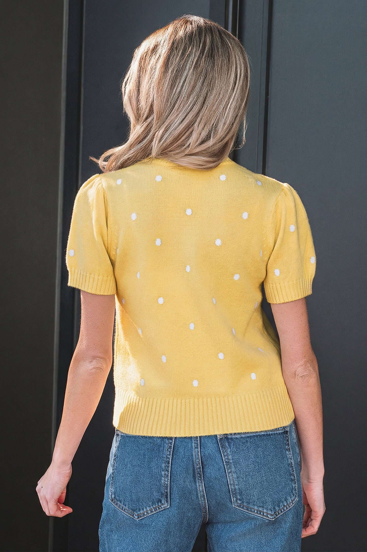 Chestnut Elegant Polka Dot Bubble Short Sleeve Sweater