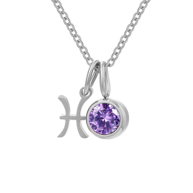 Constellation Zircon Birthstones Stainless Steel Necklace