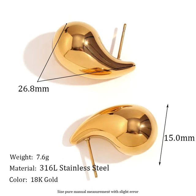 Women Stainless Steel Earrings