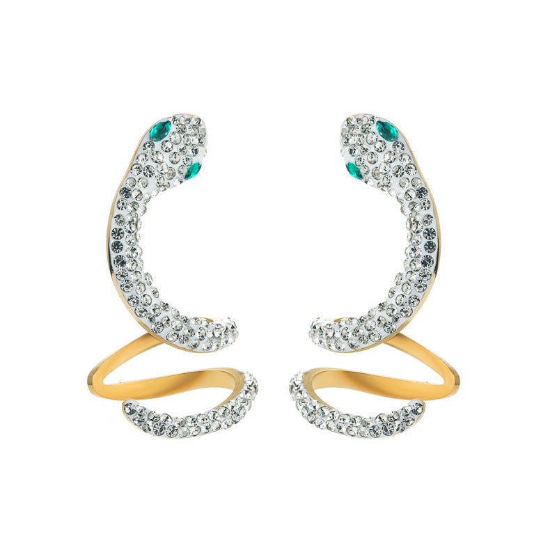 Trendy Hollow Snake-Shaped Titanium Steel Earrings – Creative Fashion Jewelry for Women