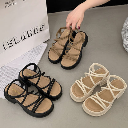 41e841b15f13219440ca88402726d142