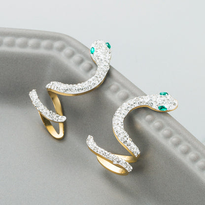 Trendy Hollow Snake-Shaped Titanium Steel Earrings – Creative Fashion Jewelry for Women
