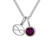 Constellation Zircon Birthstones Stainless Steel Necklace