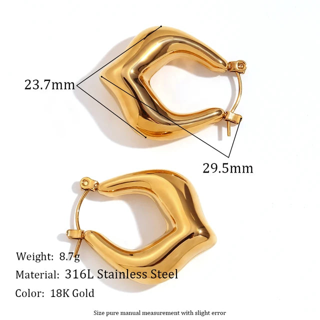 Women Stainless Steel Earrings