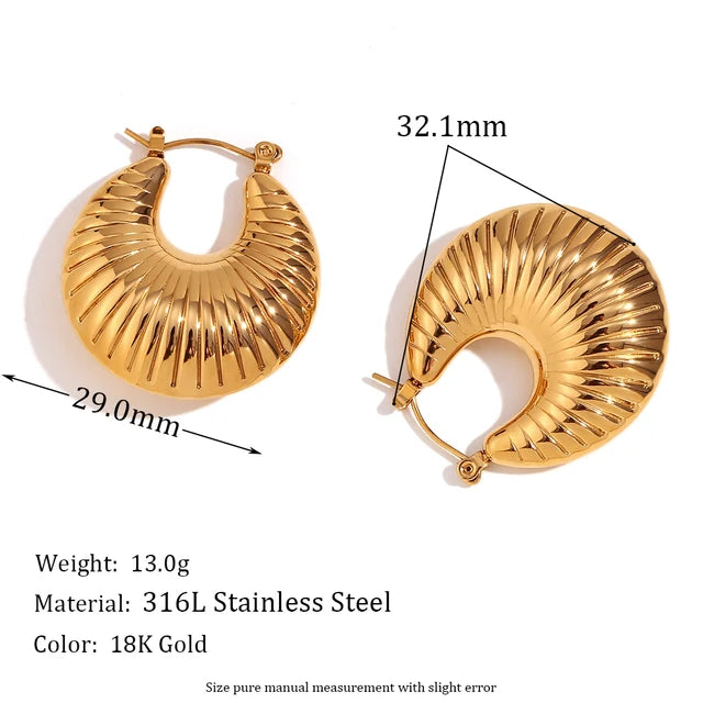 Women Stainless Steel Earrings
