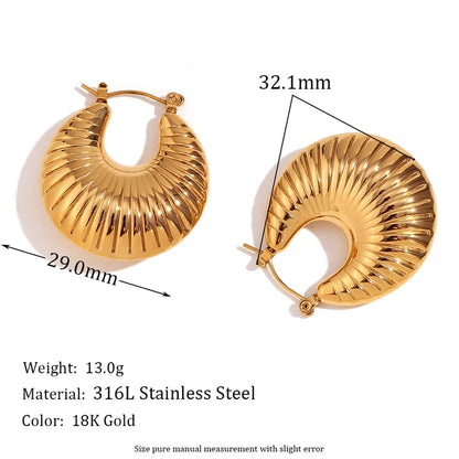 Women Stainless Steel Earrings